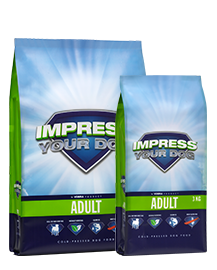 Impress Your Dog Adult